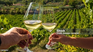 Two hands holding wine glasses with a vineyard in the background.
