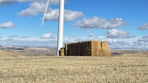 A wind turbine in a field with hay bales and a clear blue sky.