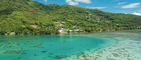 Liegestühle, Strandtücher