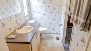 Een kleine badkamer met een wastafel, toilet en douche.