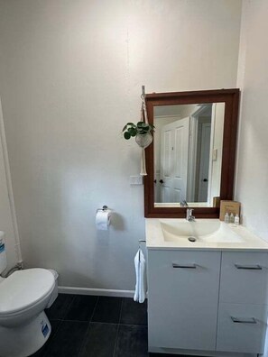 Towels, soap, shampoo, toilet paper