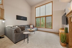 Smart TV, fireplace, books