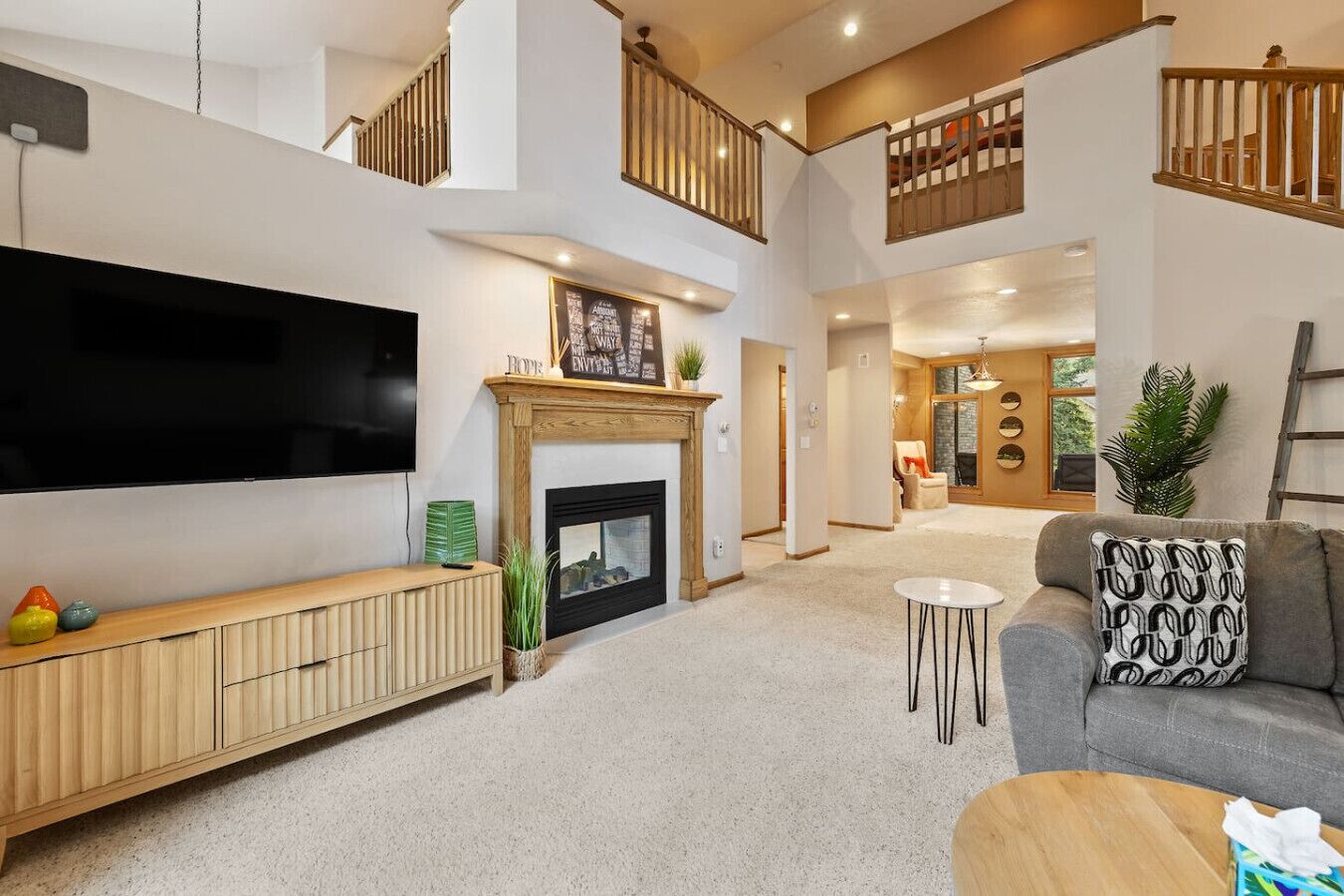 Smart TV, fireplace, books