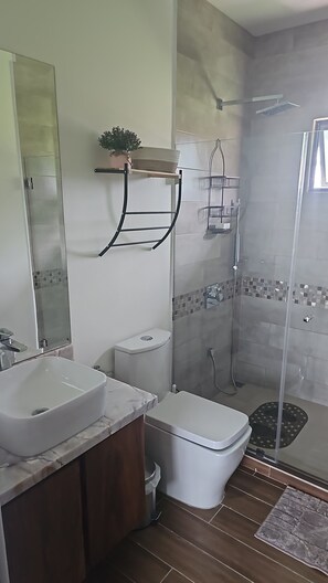 Hair dryer, towels, soap, toilet paper