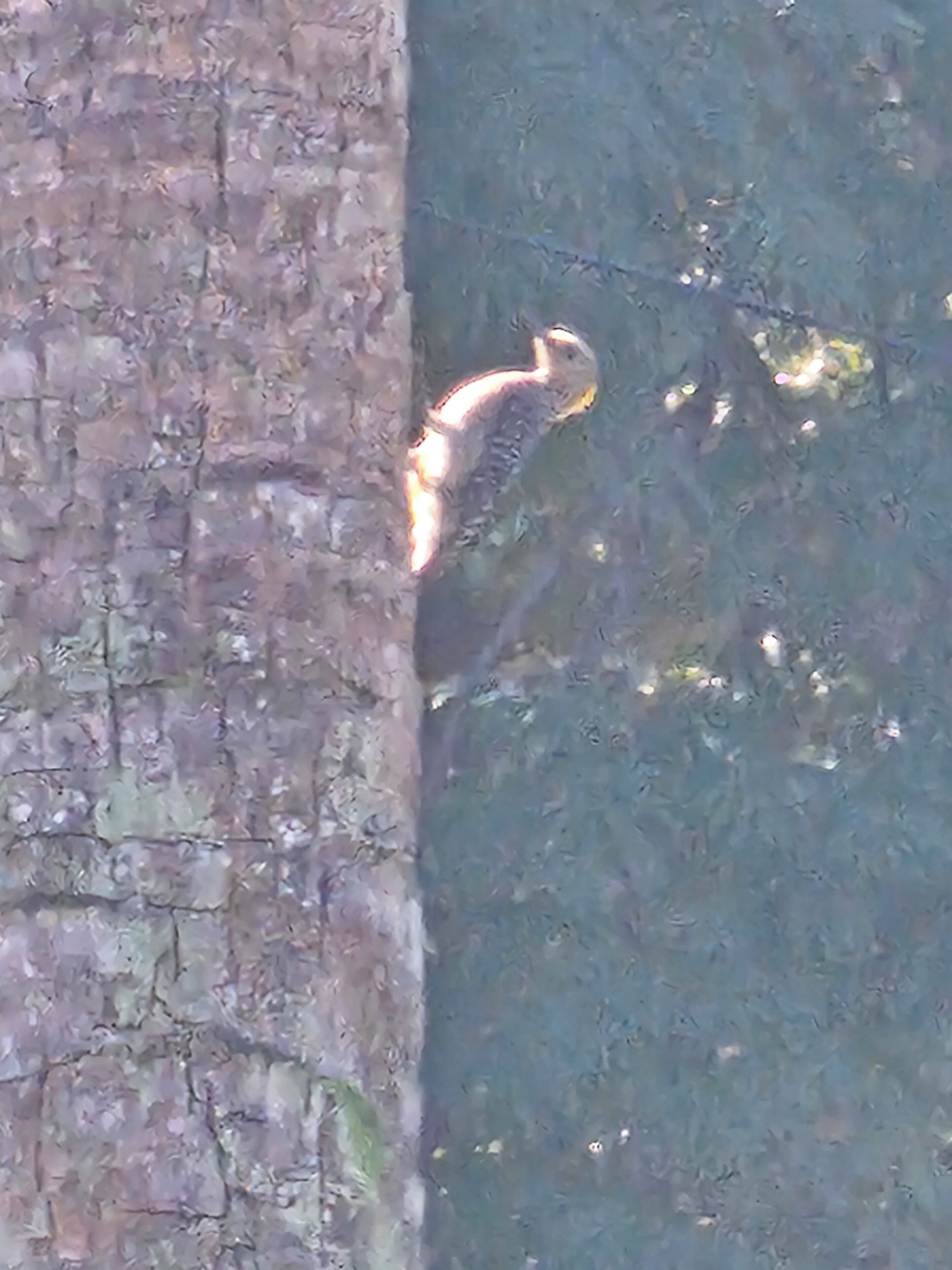Un oiseau était perché sur une branche.