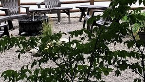 A patio area with Adirondack chairs and a fire pit, overlooking a pond with moose. - Marvelous 1-bedroom cabin “Moose”in Ririe (Rigby)