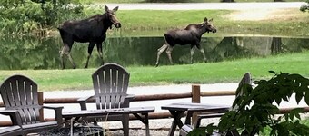 Marvelous 1-bedroom cabin “Moose”in Ririe