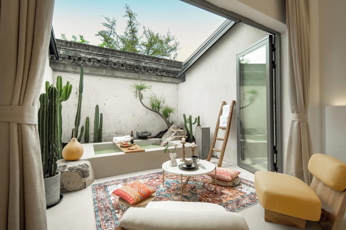 A cozy indoor space with a small pool, cacti, and a ladder.