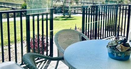 The Seahorse, 2bed beach paradise, swimming pool!