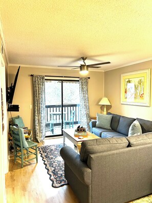Smart TV, DVD player, books, video library