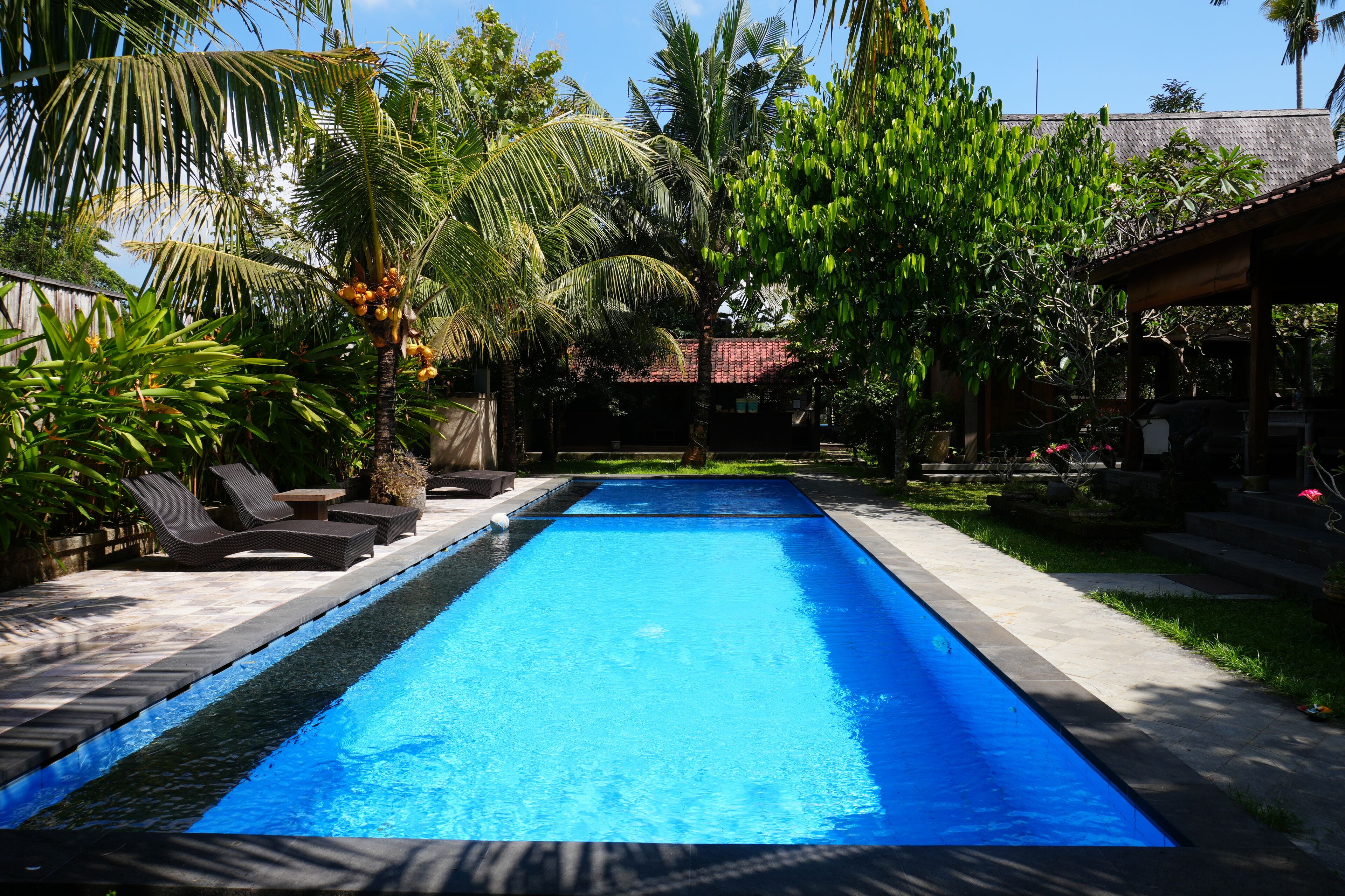 Ein rechteckiger Pool mit klarem, blauem Wasser, umgeben von Liegestühlen und tropischer Bepflanzung.