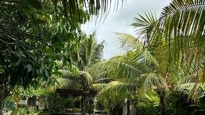 A rectangular swimming pool surrounded by lush greenery and palm trees. - Nunu Bali Eco Friendly Retreat (Tabanan)