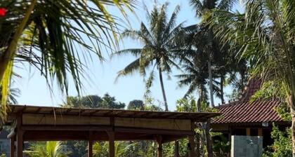 Nunu Bali Eco Friendly Retreat