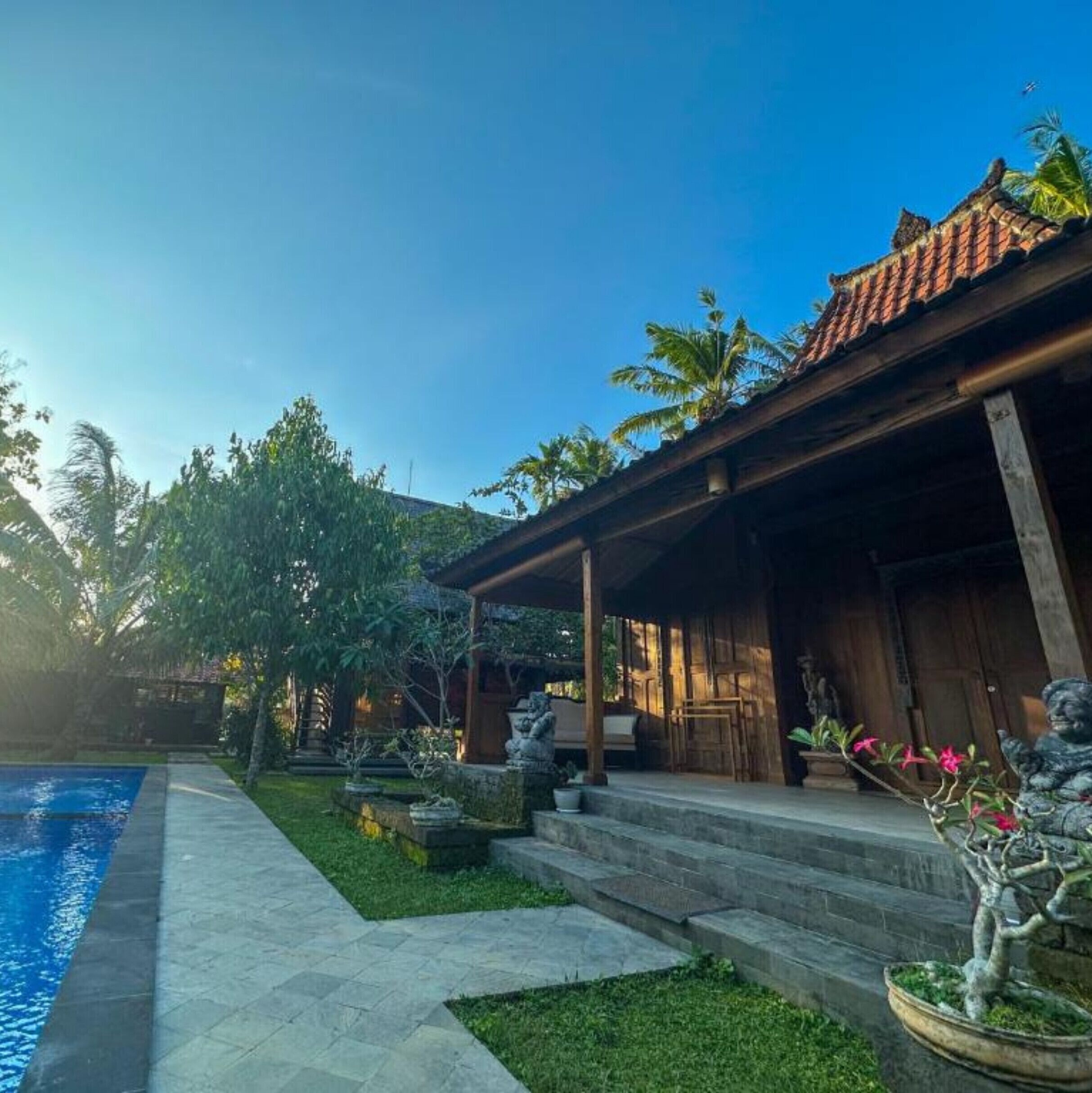 A traditional wooden building with a tiled roof, a swimming pool, and a well-maintained garden with palm trees and a bonsai tree.