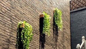 A brick building with a staircase and a small dog at the bottom. - PingYao ChengJia Laoyuan Hotel (Jinzhong)
