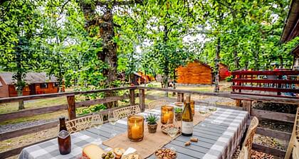 Cosy chalet on the Le Bochetay domain