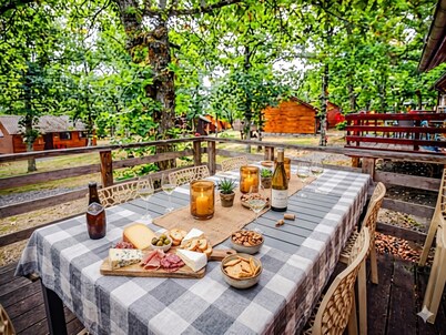 Cosy chalet on the Le Bochetay domain