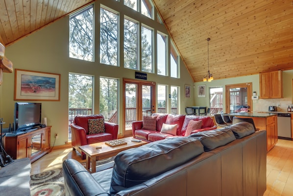 TV, fireplace, books
