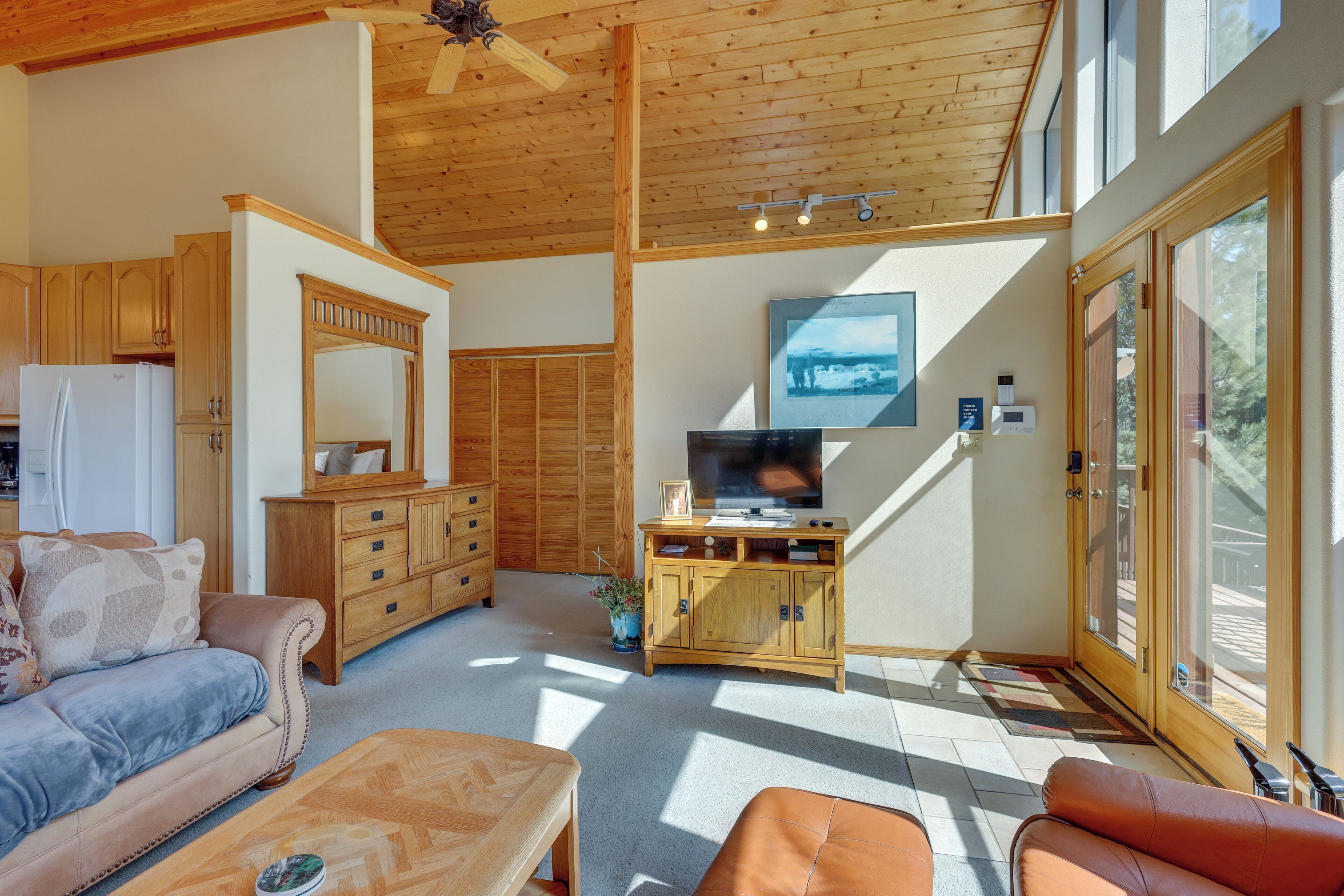 TV, fireplace, books