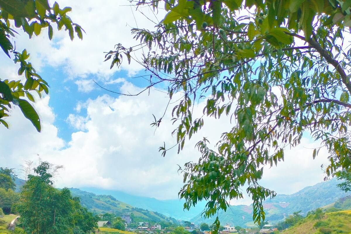 Mountain view