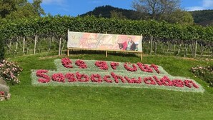 Ein Weinberg mit einem Schild und Blumenarrangements.