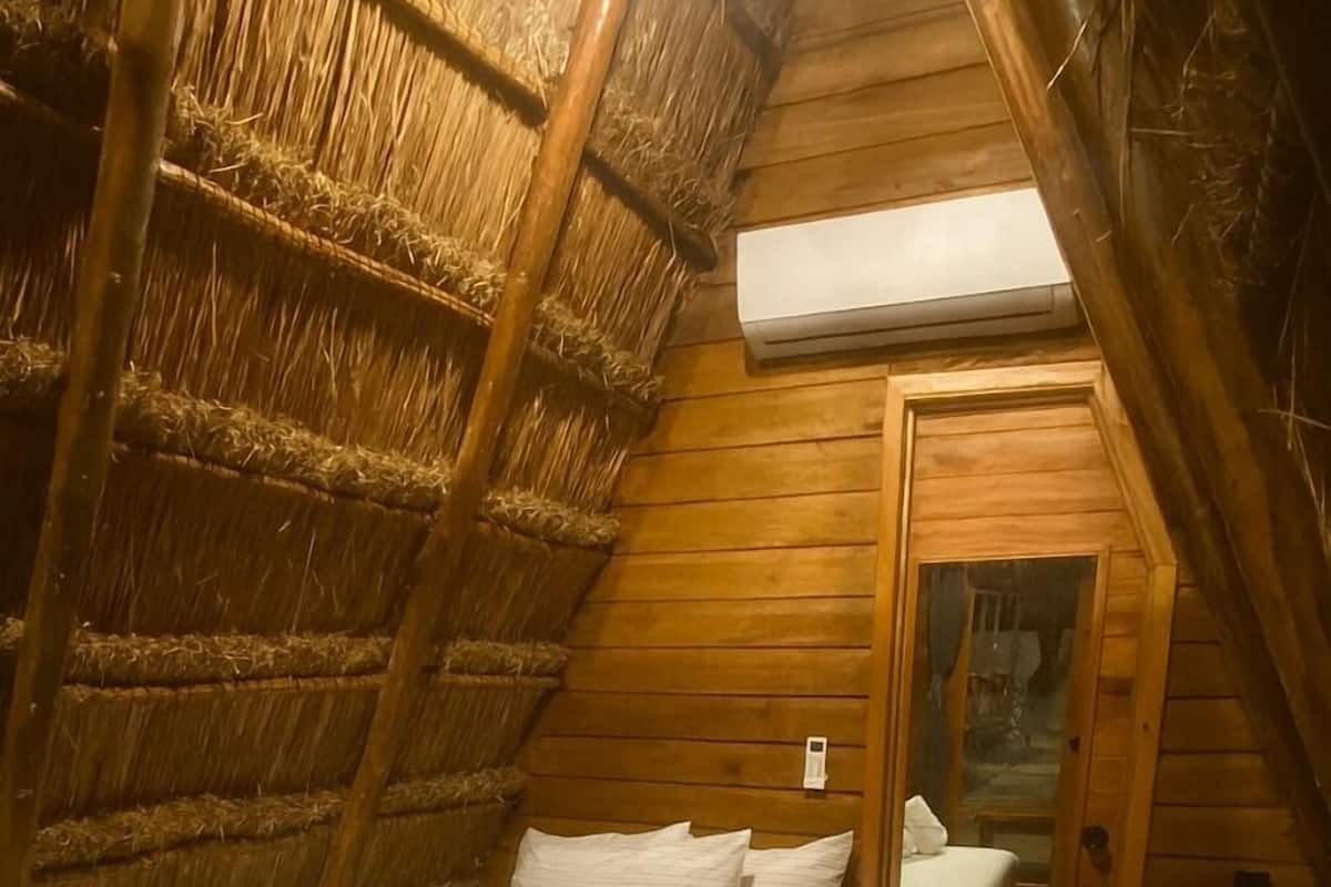 Premium bedding, free WiFi, bed sheets