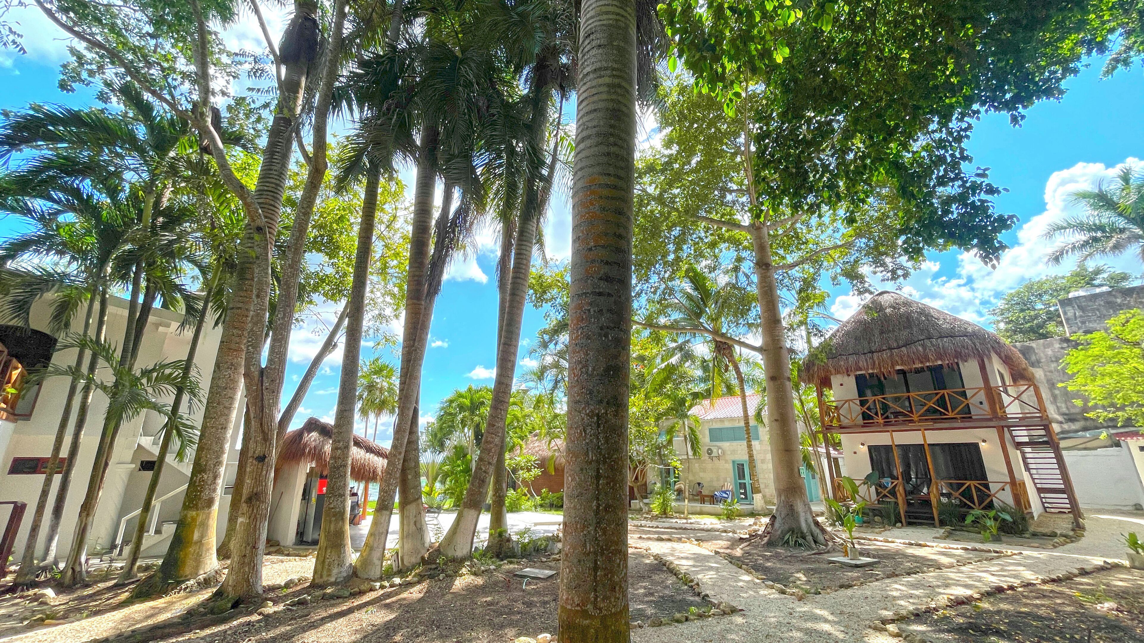 고급 침구, 무료 WiFi, 침대 시트