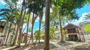 Premium bedding, free WiFi, bed sheets