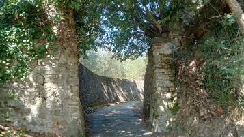 Parco della struttura