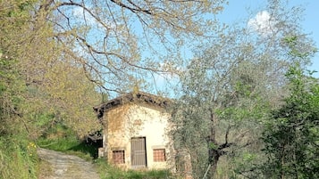 Esterni