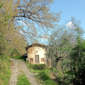 A rustic stone pathway leading to a small, single-story building with a sloped roof, surrounded by dense foliage and trees.