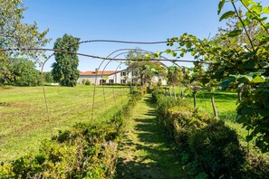 Ein Garten mit einem Pfad, einem Haus im Hintergrund und einem klaren Himmel.