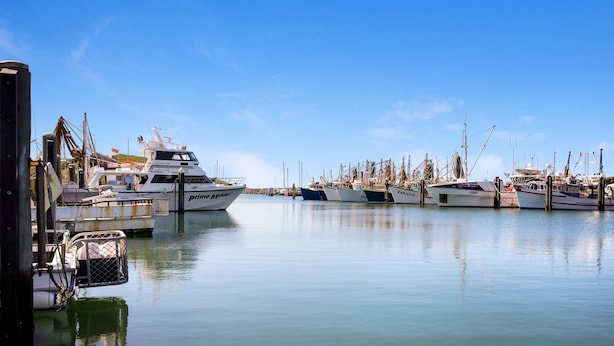 A marina with several boats docked, including a yacht named 'Prime Mover'.