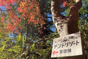 외부 세부 사진