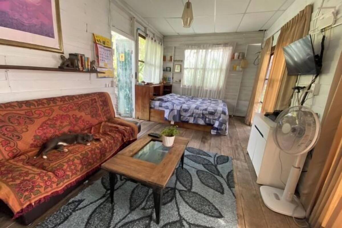 A cozy room with a sofa, a bed, a small table, a fan, and a television.