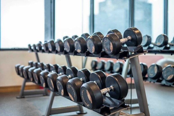 A rack of dumbbells in a gym with large windows in the background.
