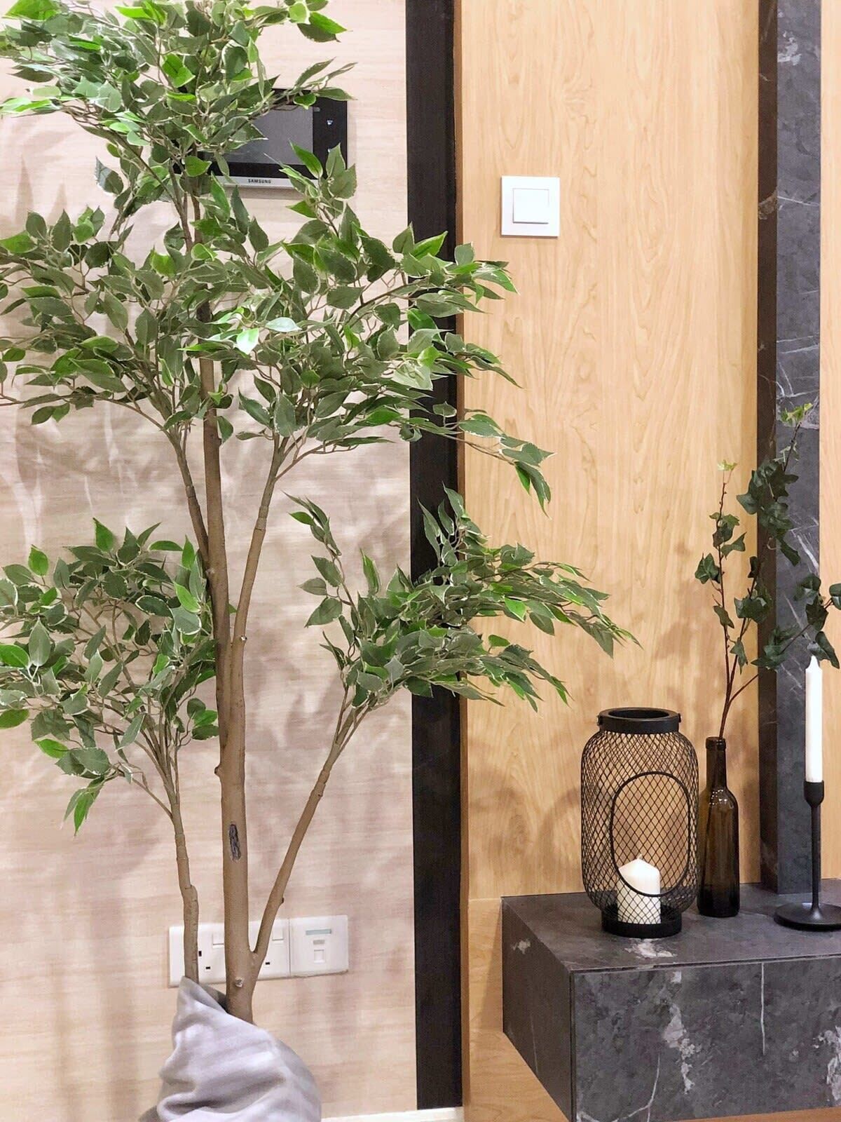 A room with a large potted plant, a vase with a candle, and a textured wall.