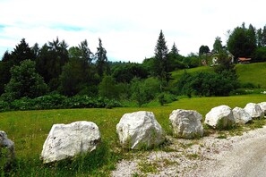 المنطقة المحيطة بالمنشأة