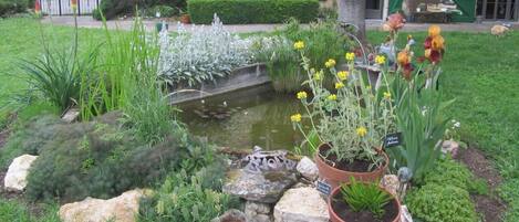 Àrea exterior de l'allotjament