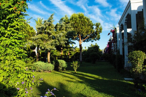 A well-maintained garden with various trees and shrubs, a clear sky, and a building with classical architecture.