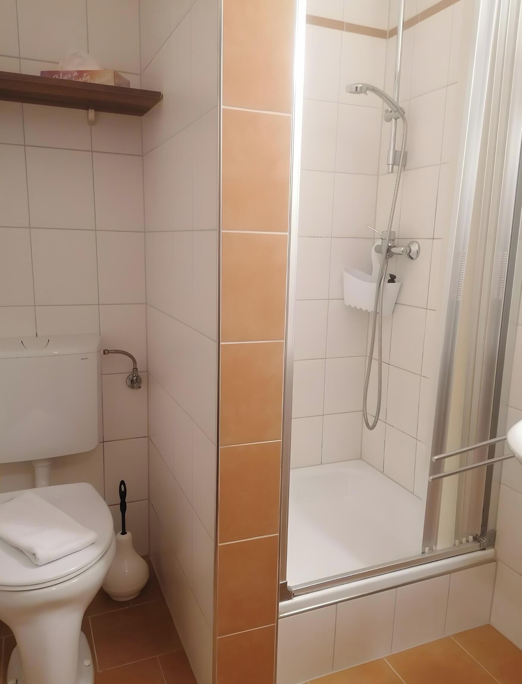 Une salle de bain avec des toilettes, une douche et un lavabo.