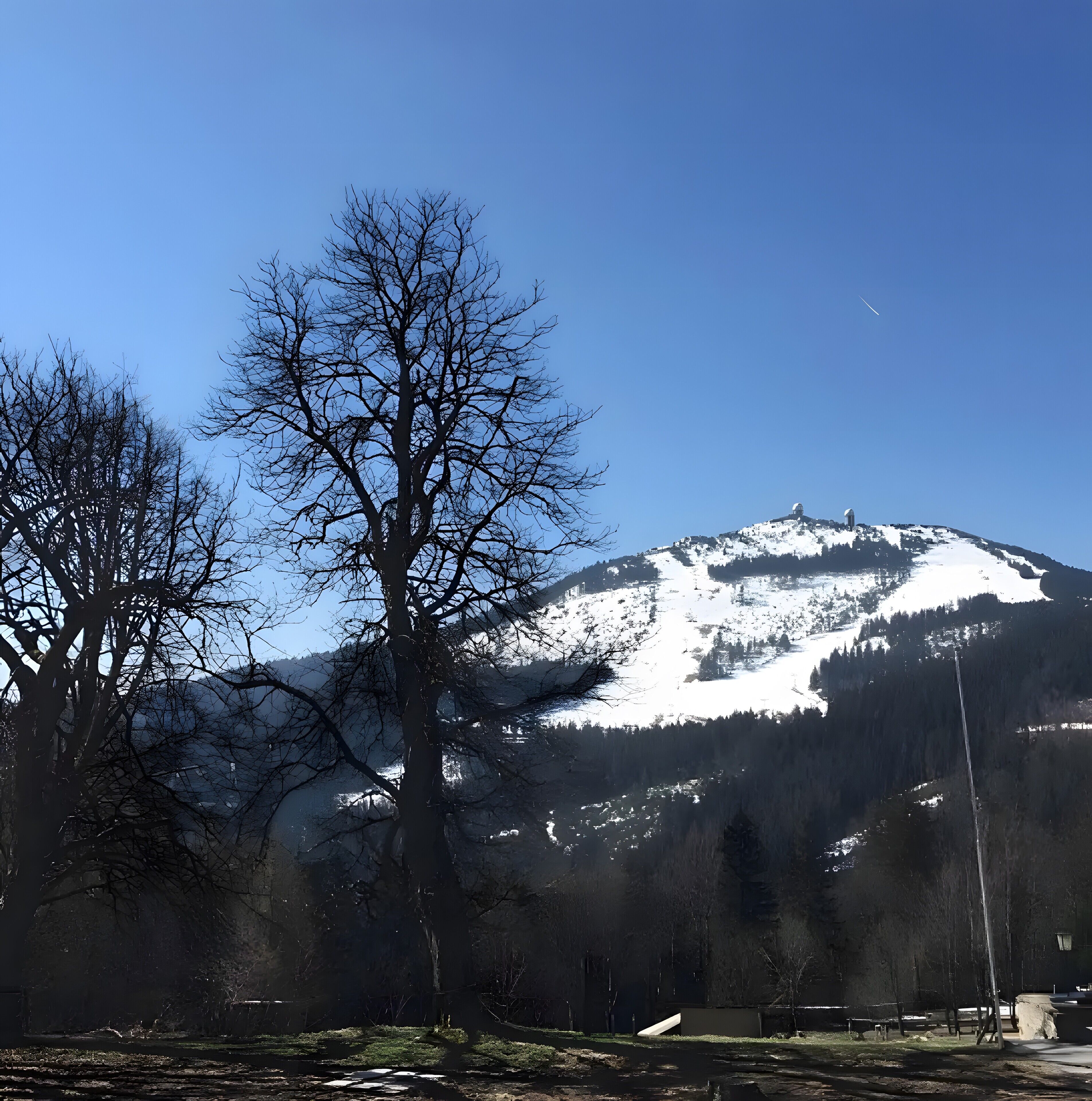 A mountain with snow, trees, and a clear sky.