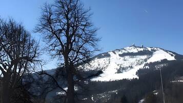 A mountain with snow, trees, and a clear sky.