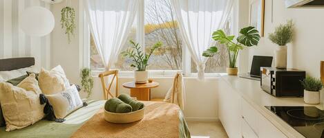 1 bedroom, iron/ironing board, WiFi, bed sheets