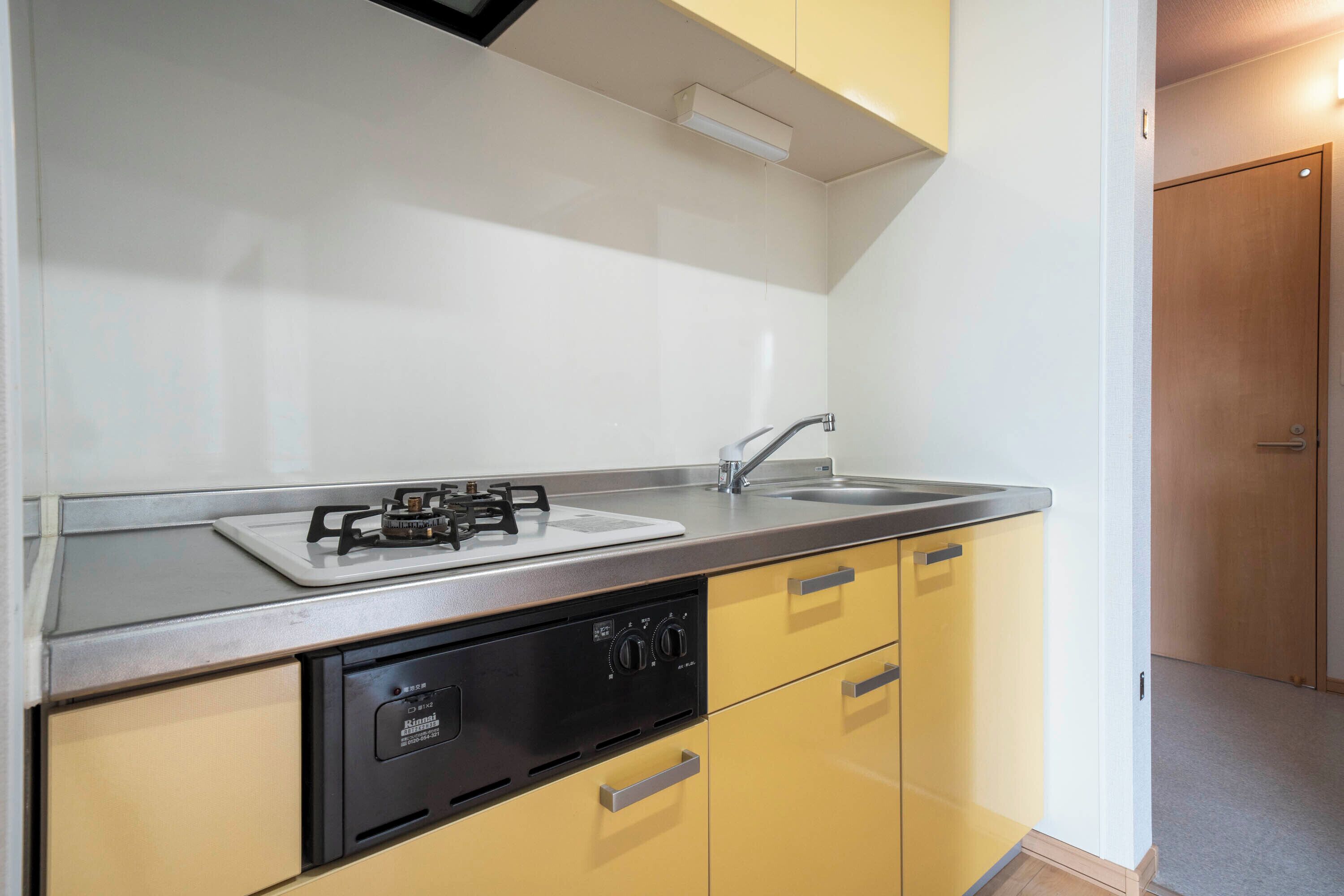 Una cocina compacta con estufa a gas, lavamanos y lavavajillas.