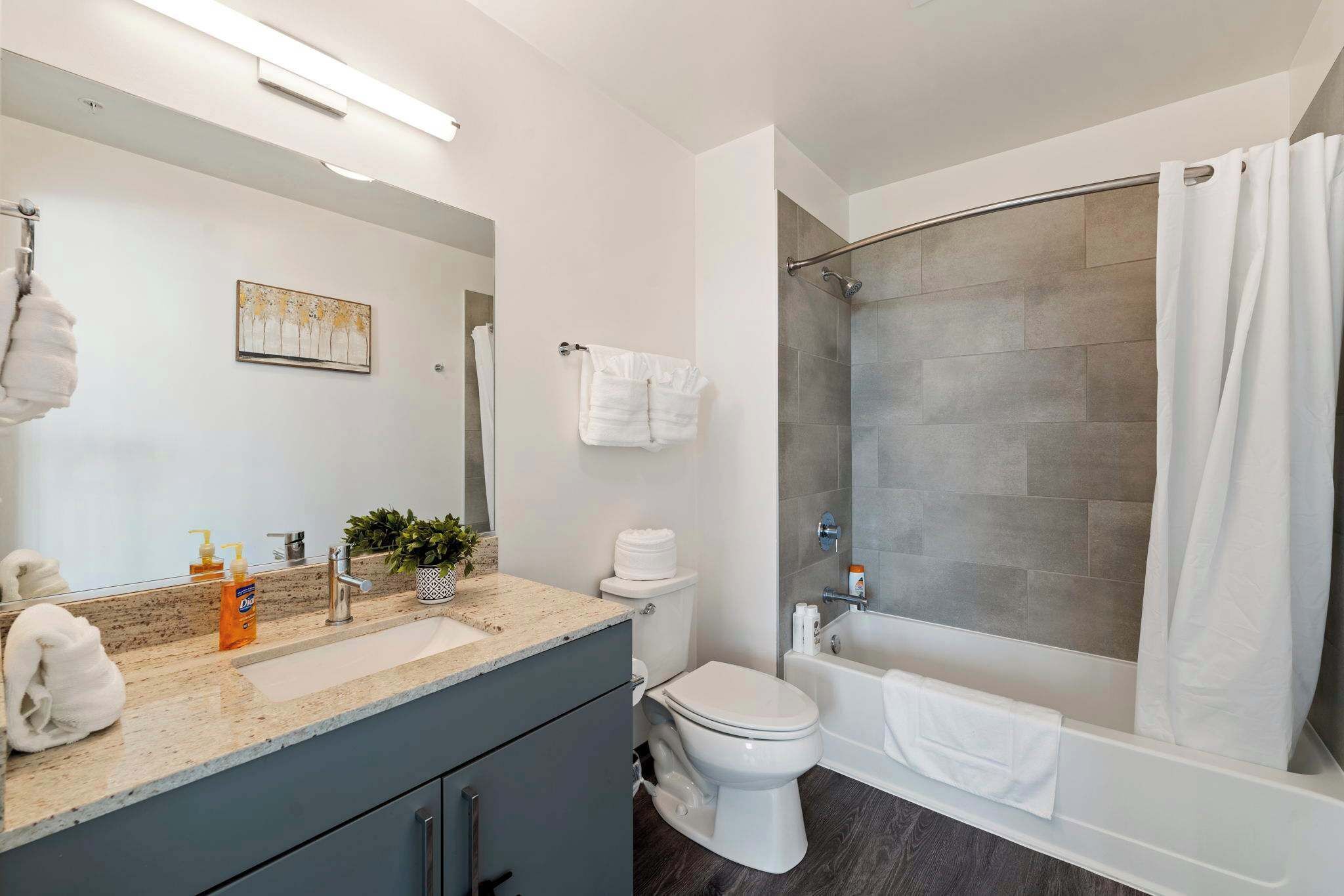 Shower, hair dryer, soap, shampoo