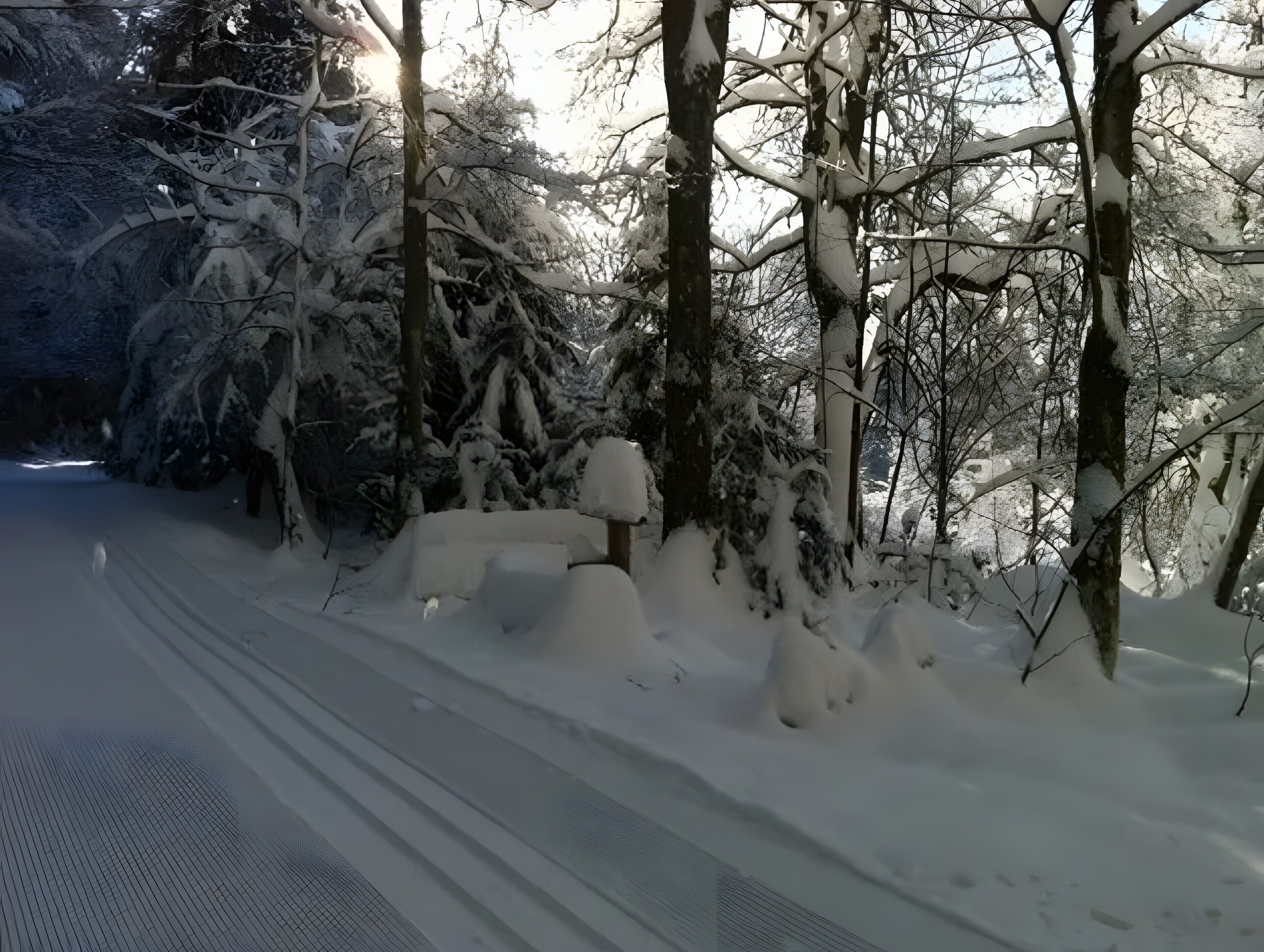 A snow-covered road with trees on either side.