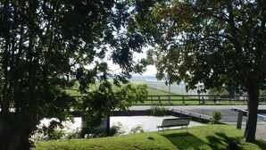 A park with a bench, a paved path, and a grassy area.