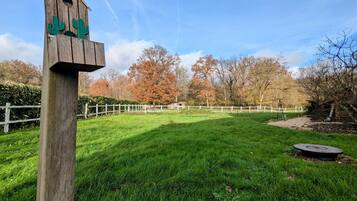 Terrein van de accommodatie