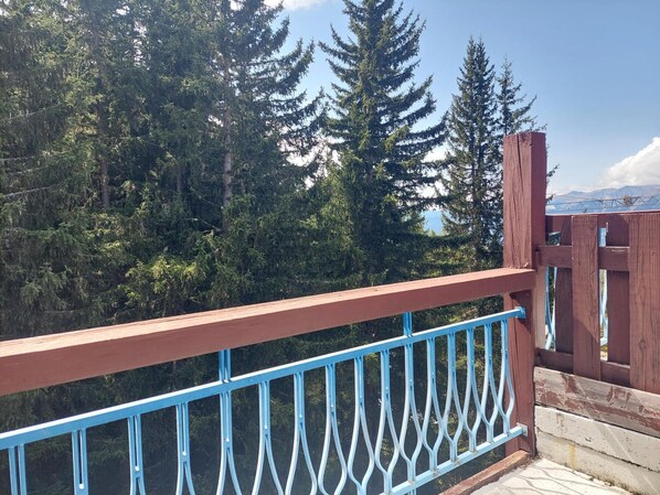 Terrain de lâhĂ©bergement